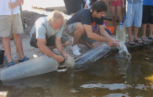 Torneo de mojarrita en la  playa central