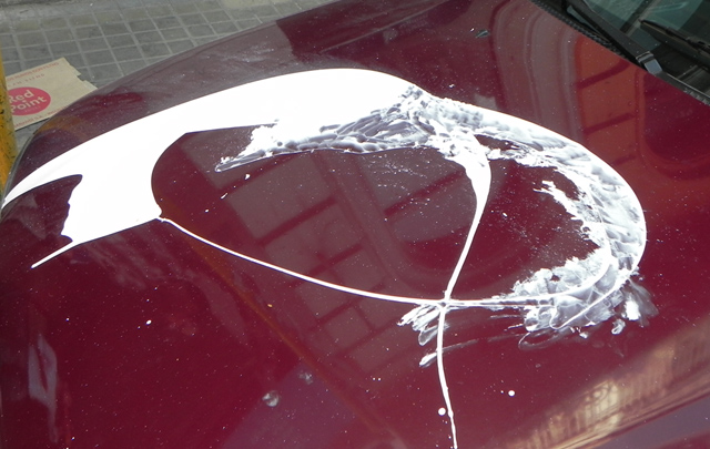 El hecho sucedió en la calle El Ceibo de barrio Residencial del Chateau.