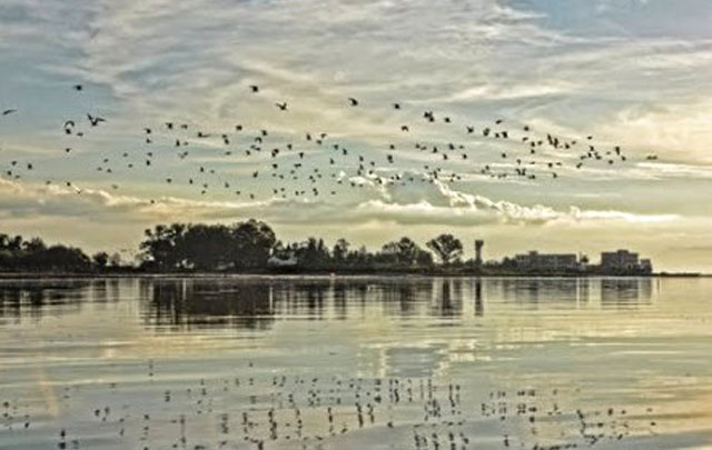 Las 800.000 hectáreas superan por 73.000 al Parque Nacional Los Glaciares.