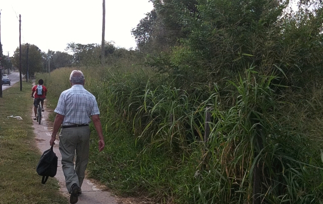 La ciclovía quedó tapada por pastizales.