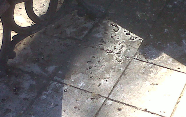 Así lucen las instalaciones de la Plaza San Martín por acción de las palomas.