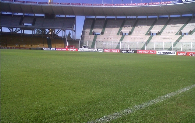 Así luce el césped mundialista cordobés.