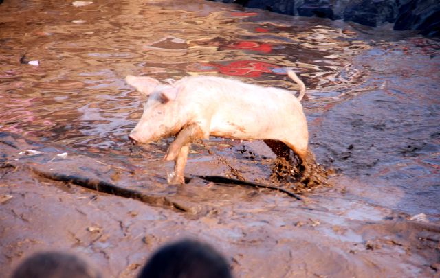 Los protagonistas de la prueba en plena carrera.
