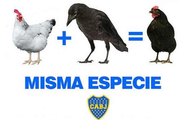 Afiches de Boca cargando a San Lorenzo.