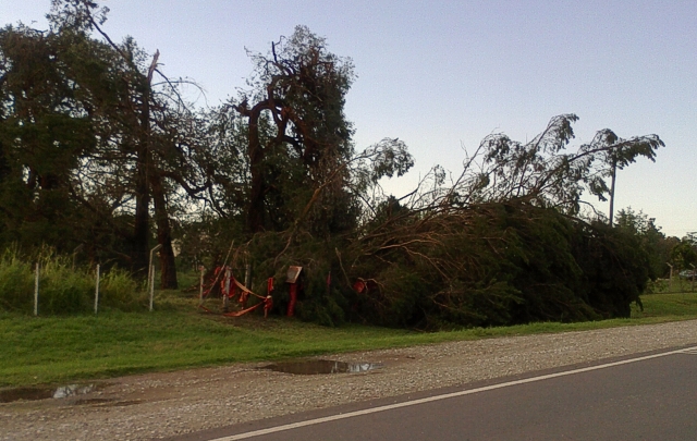 Tormenta de lluvia y granizo en Marcos Juárez.