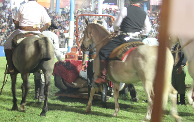 El animal debió ser retirado del campo de la doma.
