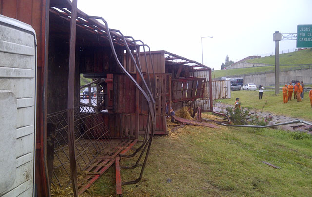 El camión jaula yace volcado al lado de la carpeta asfáltica.
