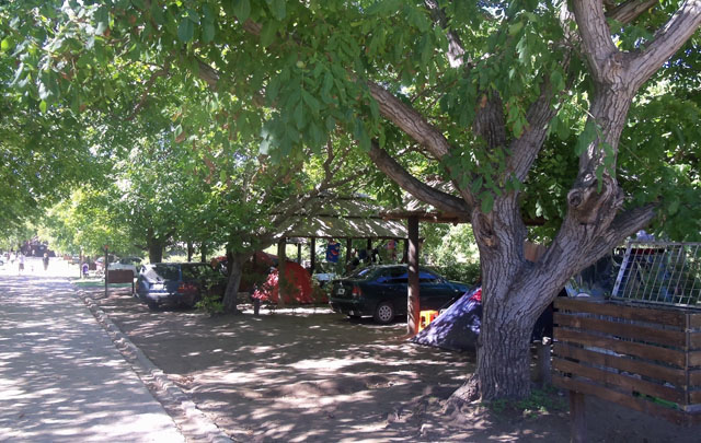 El camping Los Nogales en San Luis.