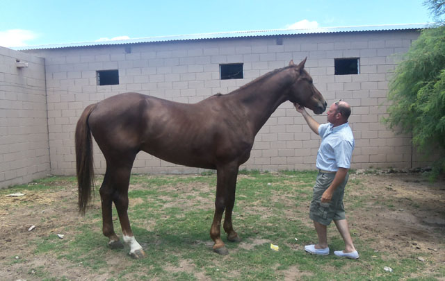 Orlando en la Estancia Grande Polo Club