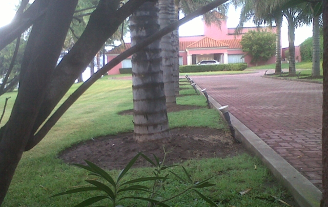 Mendoza contrató un servicio de seguridad para ''dormir tranquilo''.