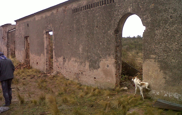El Castillo El Carrizal aparece en medio de los matorrales.