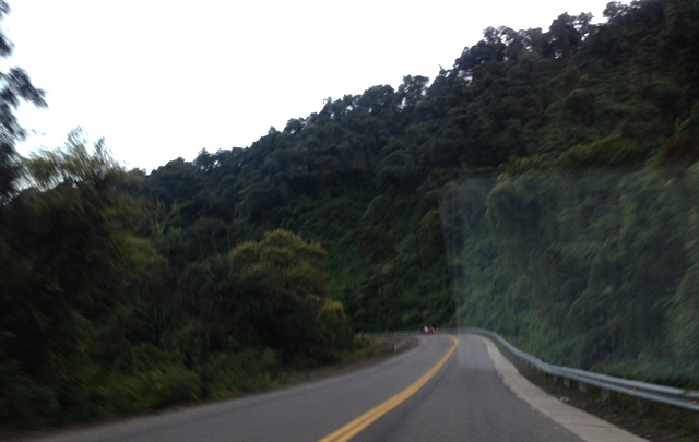 La ruta atraviesa la selva de yungas camino a Tafí del Valle.