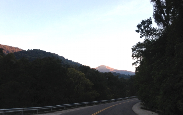 La ruta atraviesa la selva de yungas camino a Tafí del Valle.