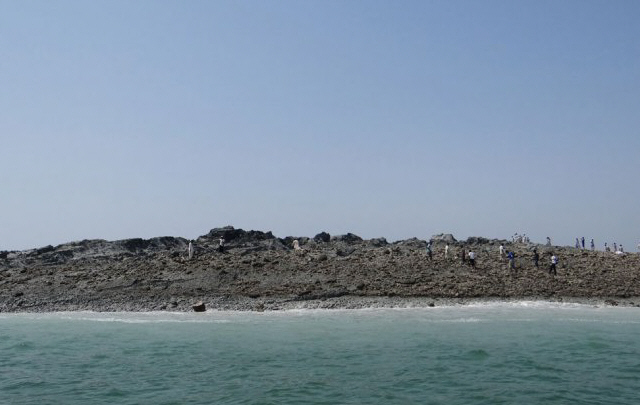 El fenómeno despertó la curiosidad de científicos de todo el mundo.