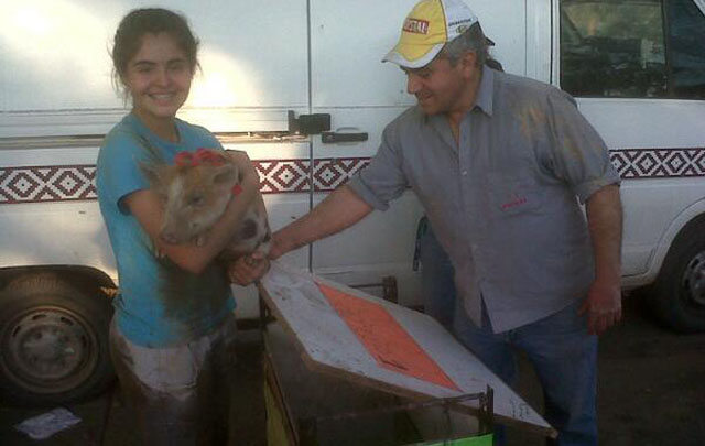 Antonella Zuliani ganó en la categoría damas con ''El Glorioso'' (Foto: @gheredia4).