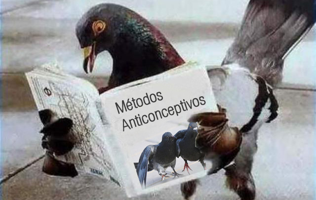 Paloma leyendo prospecto anticonceptivo (Foto ilustrativa)