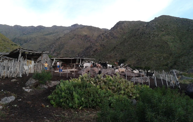 Caminata Puesto Ferreyra - San Javier