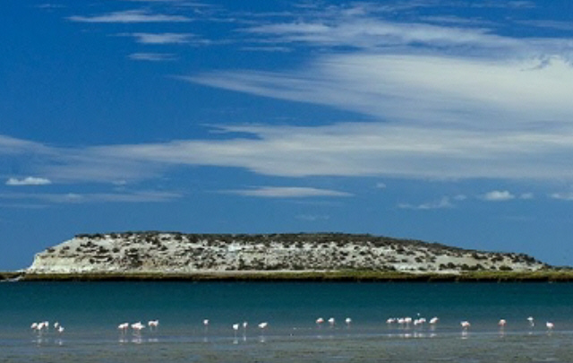 La Isla de los Pájaros, paraíso natural donde no llega el ser humano. 