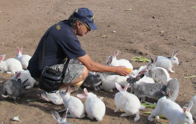Linda Vista se ubica en la localidad de Los Hornillos. 