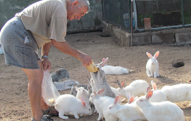 Linda Vista se ubica en la localidad de Los Hornillos. 