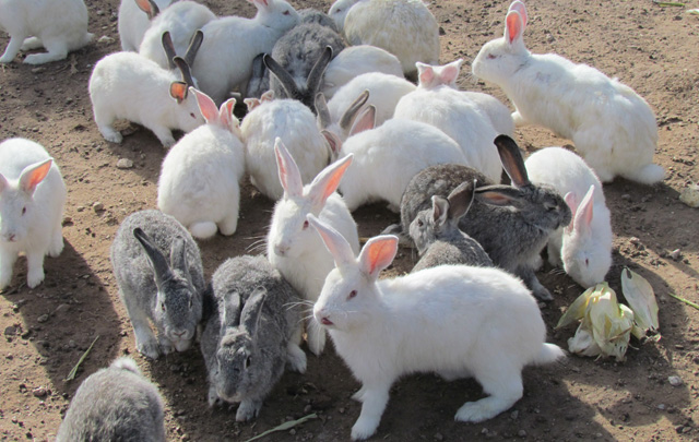 Linda Vista se ubica en la localidad de Los Hornillos. 