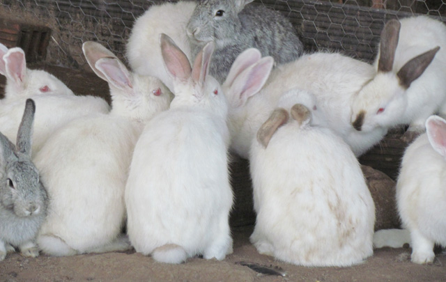 Linda Vista se ubica en la localidad de Los Hornillos. 