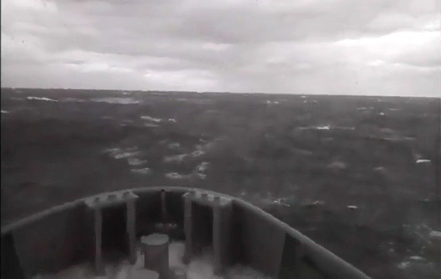 En las últimas horas se conocieron imágenes de la búsqueda.