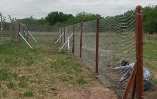 Así es el canil para perros vagabundos en el Mercado de Abasto.