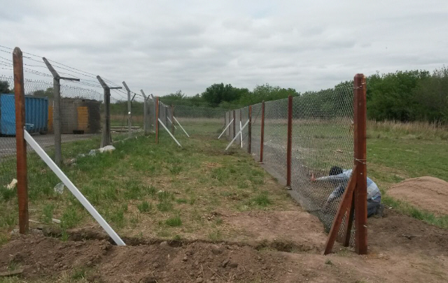 Así es el canil para perros vagabundos en el Mercado de Abasto.