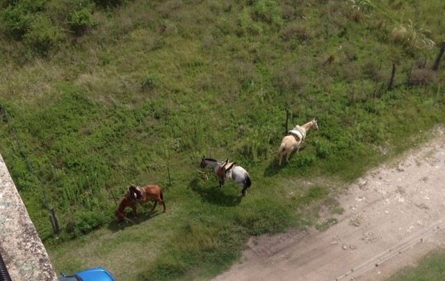 Vista de la localidad de Salsipuedes.