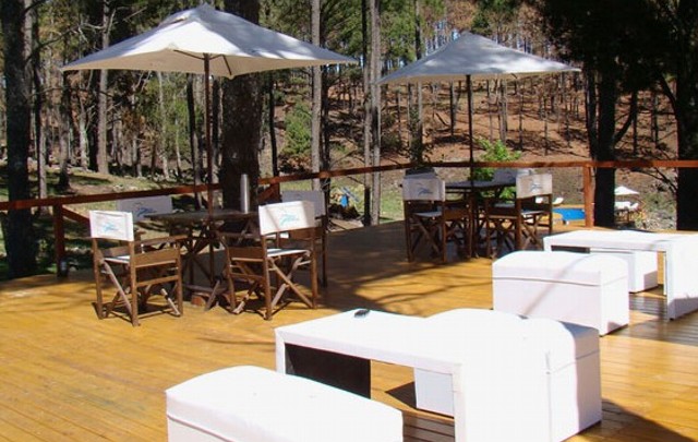 Los pinares de Yacanto, la estrella del lugar.