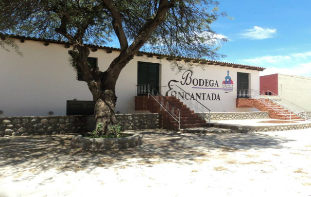 La luna cafayateña iluminó la Serenata en Salta - Notas de los Festivales 2015 - Operativo Verano 2015 - Cadena 3 Argentina