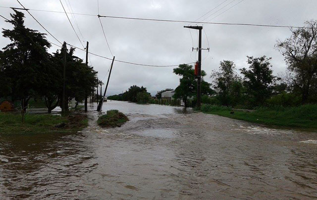  La Tordilla Mauro Damian Orellano