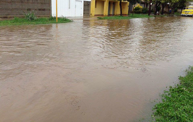  La Tordilla Mauro Damian Orellano