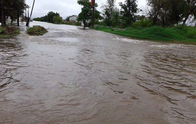  La Tordilla Mauro Damian Orellano