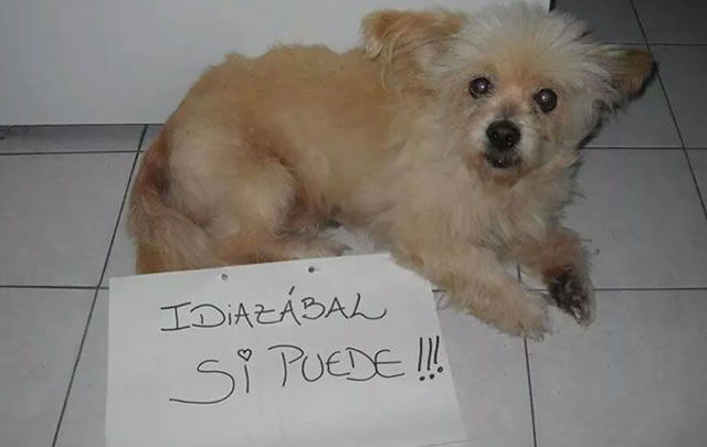 Idiazábal sí puede