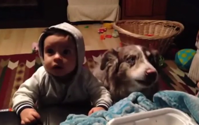 Un perro dice mamá para poder ganar comida.