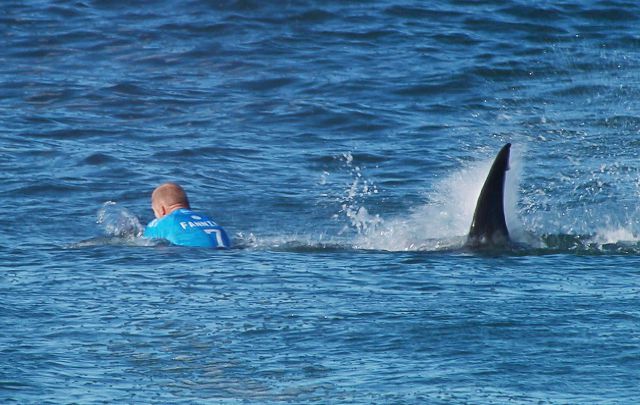 Mick Fanning se libró del ataque de un tiburón.