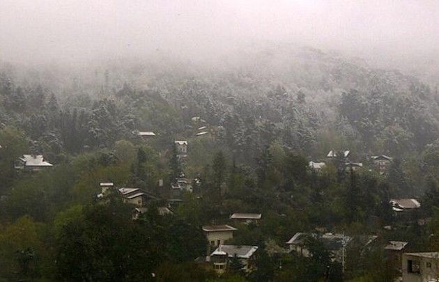 Nieve (Littletonclaire)