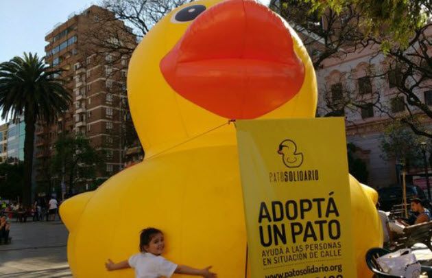 Los patos se pueden adoptar en la Plaza Vélez.