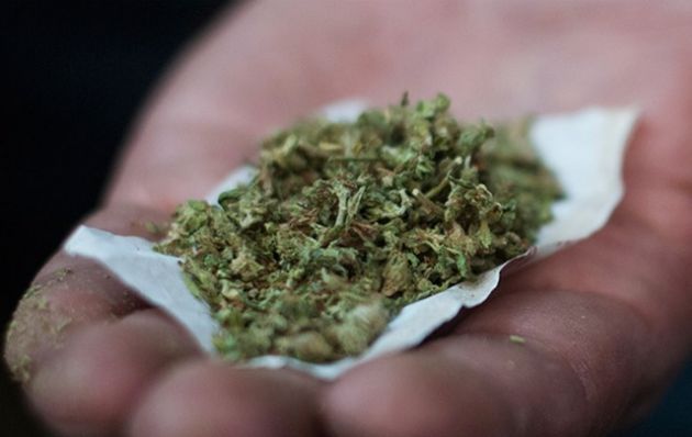 Venderán en Uruguay yerba mate con marihuana (Foto ilustrativa)