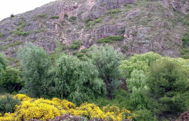 Potrerillos se encuentra a 1700 metros sobre el nivel del mar, a 85 km de Mendoza. 