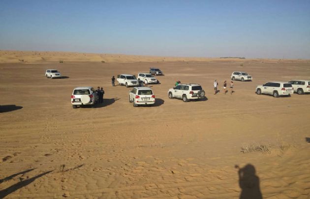 Safari Agustina Vivanco