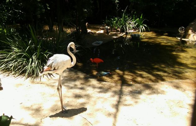 Juan Pablo Viola visitó el "Parque de Aves" en Brasil