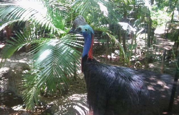 Juan Pablo Viola visitó el "Parque de Aves" en Brasil