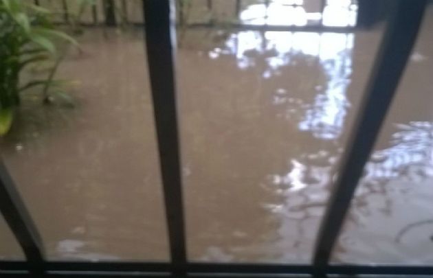 El agua ingresó en jardines y patios.