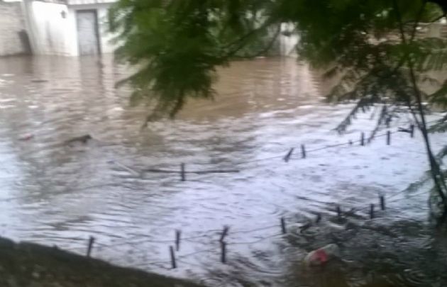 El agua ingresó en jardines y patios.
