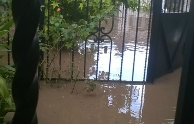 El agua ingresó en jardines y patios.