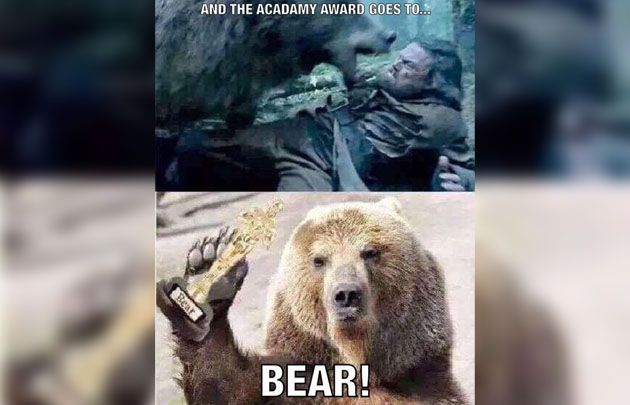 Leo Di Caprio Memes por el Oscar