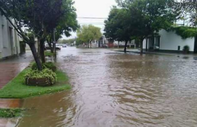 ''La culpa es de la mano indiscriminada del hombre", dijo el intendente. 